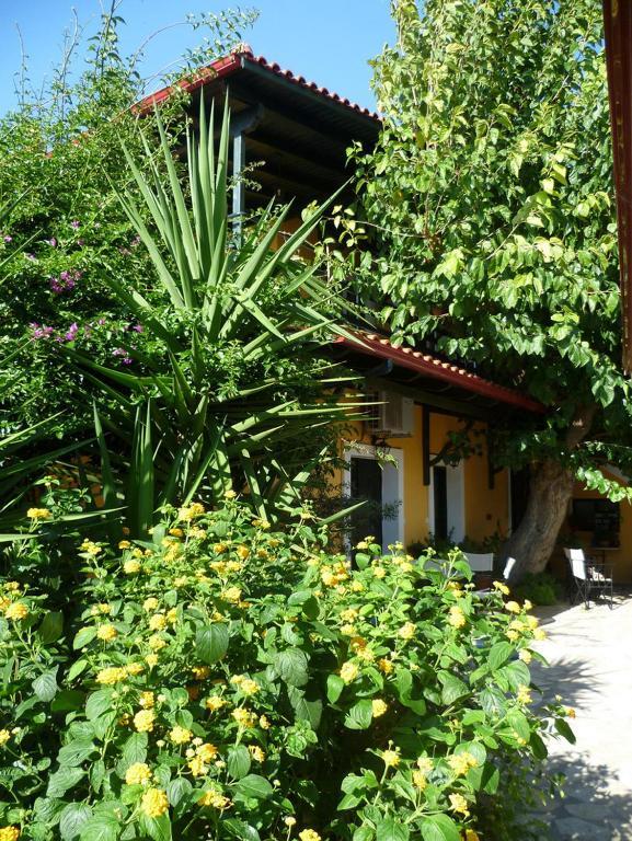 Meliti Guesthouse Akrata Exteriör bild
