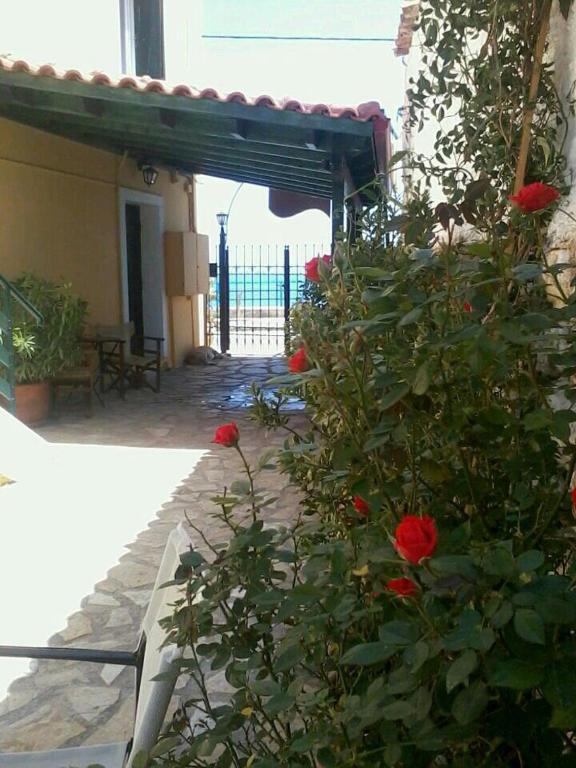 Meliti Guesthouse Akrata Exteriör bild